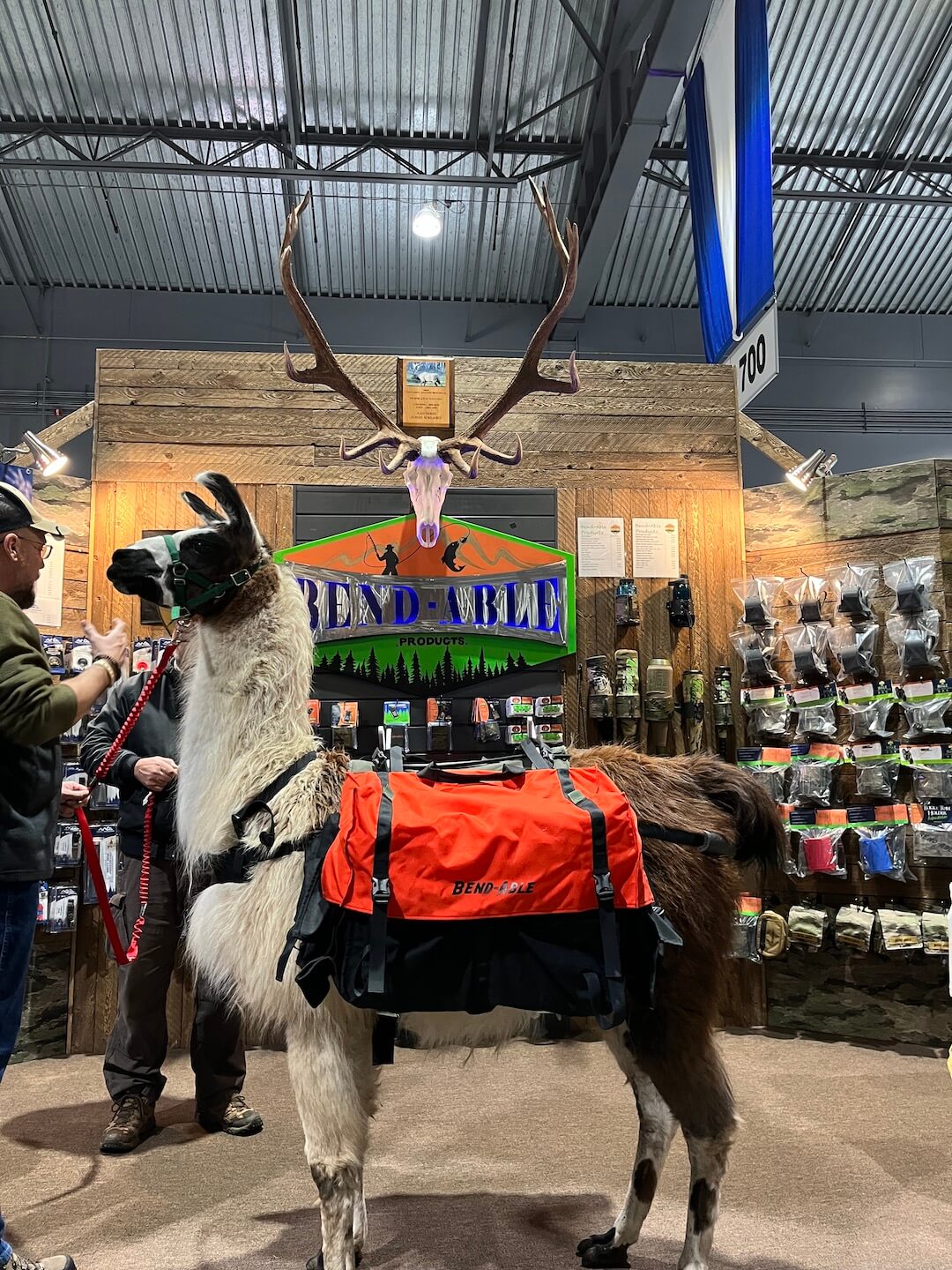 Llama Pannier